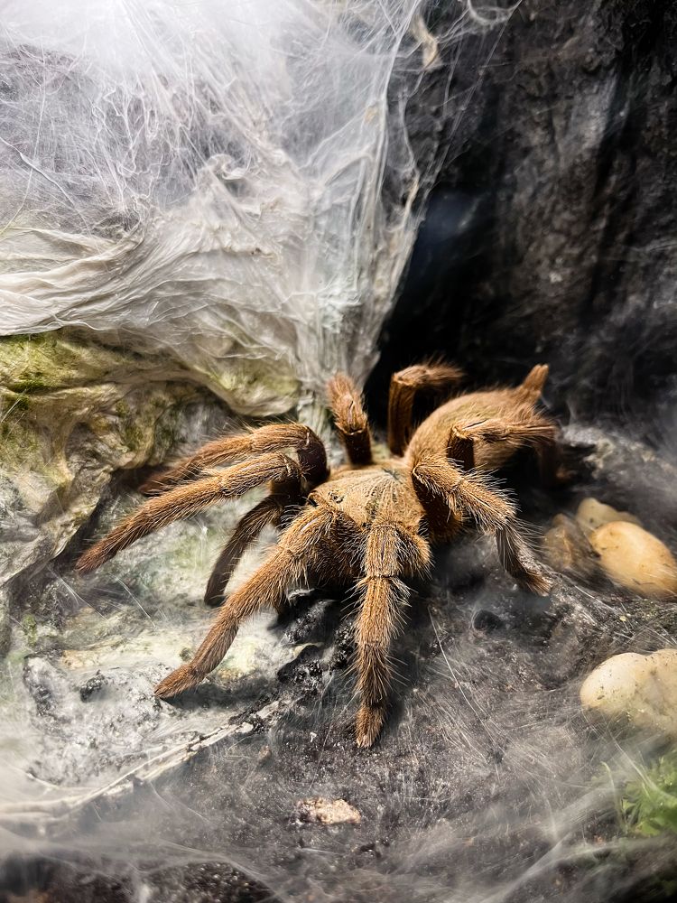 Фотография автора Мария Жукова