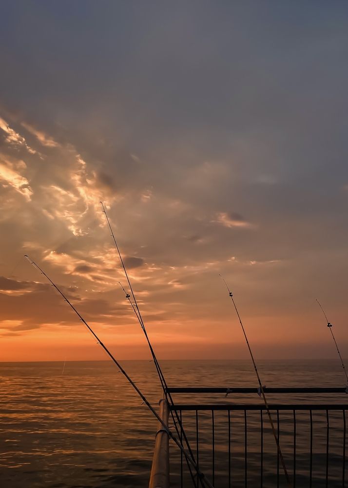 Фотография автора Ольга Артковская