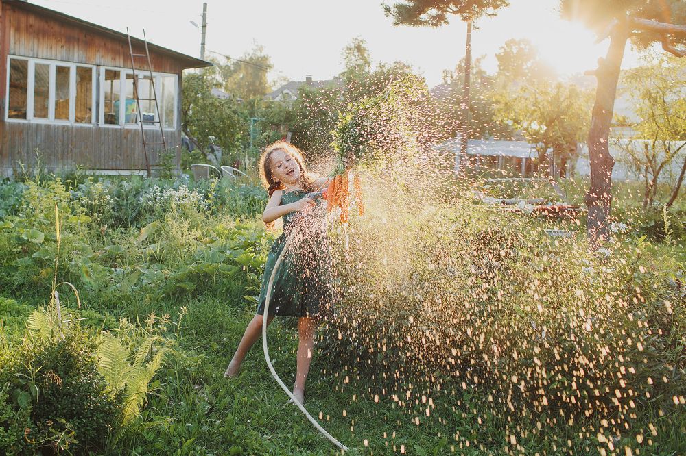 Лето на даче