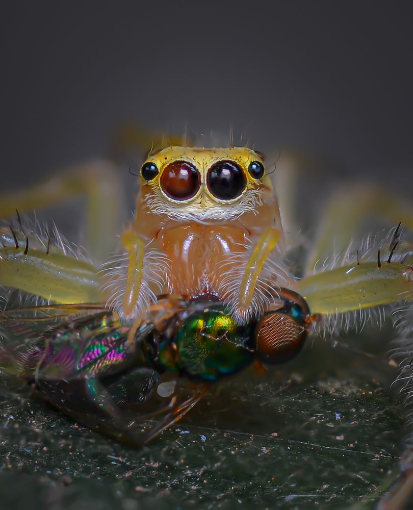 Photograph by Kasun Wickramasinghe