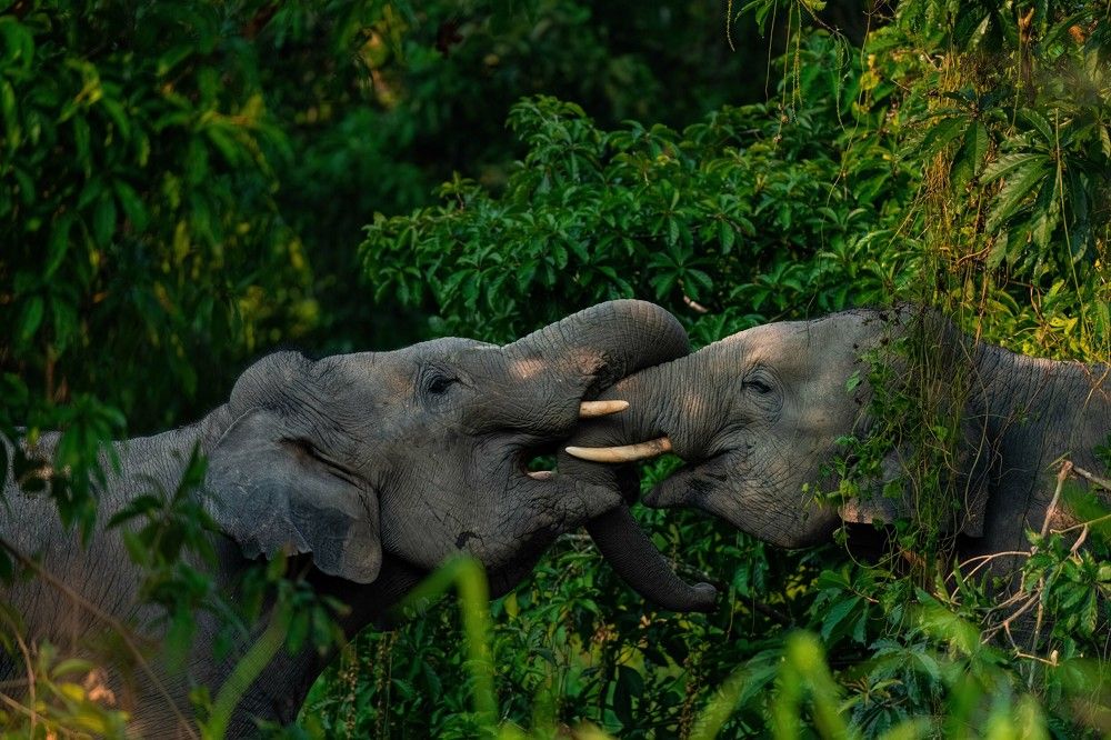 Photograph by Yoganathan Loganathan