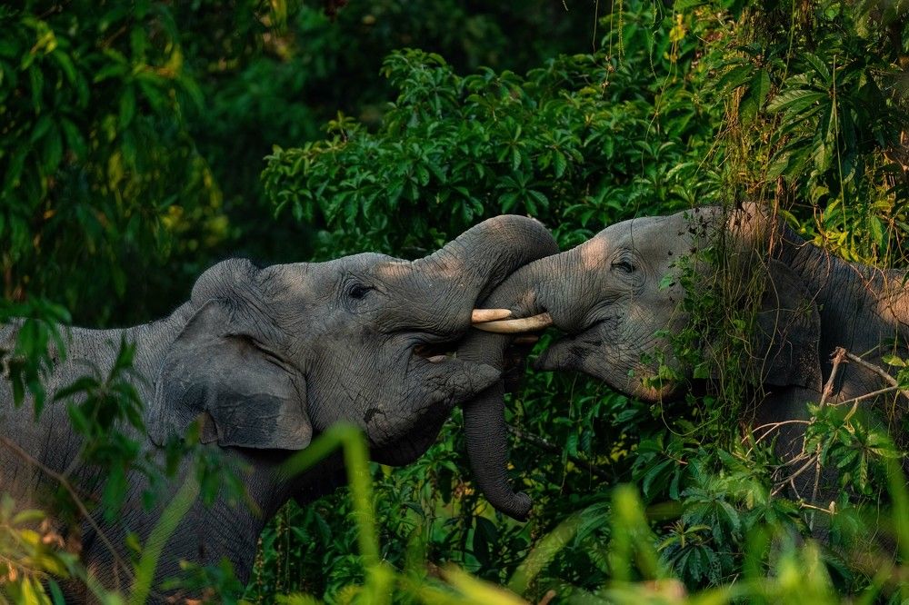 Photograph by Yoganathan Loganathan