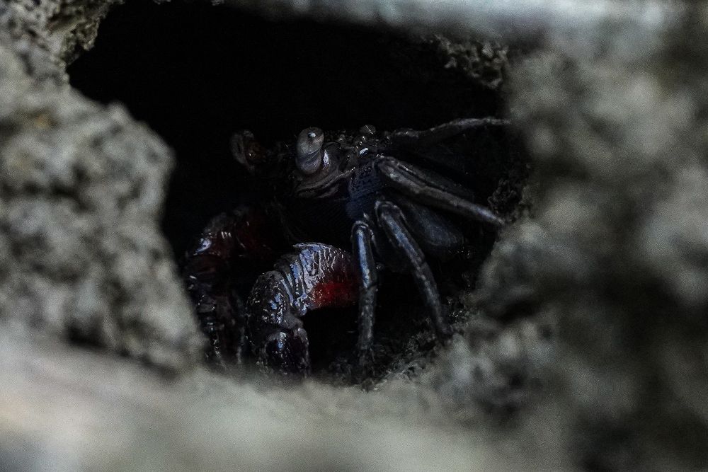 Photograph by Yoganathan Loganathan