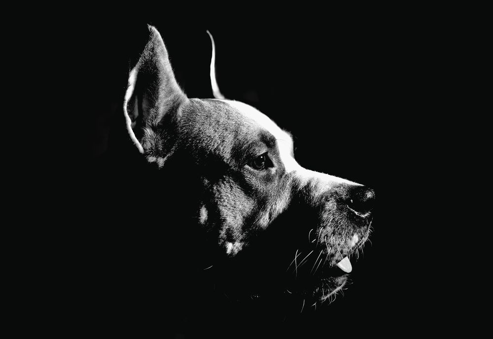 Photograph by Сергей Лисин