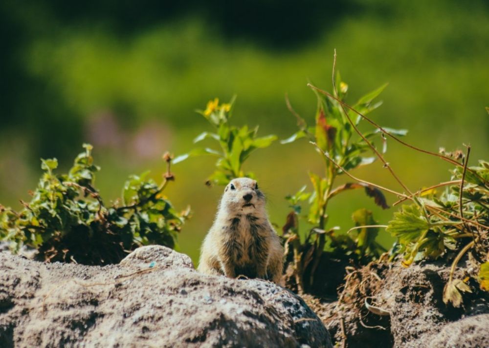 Photograph by Элеонора Конева