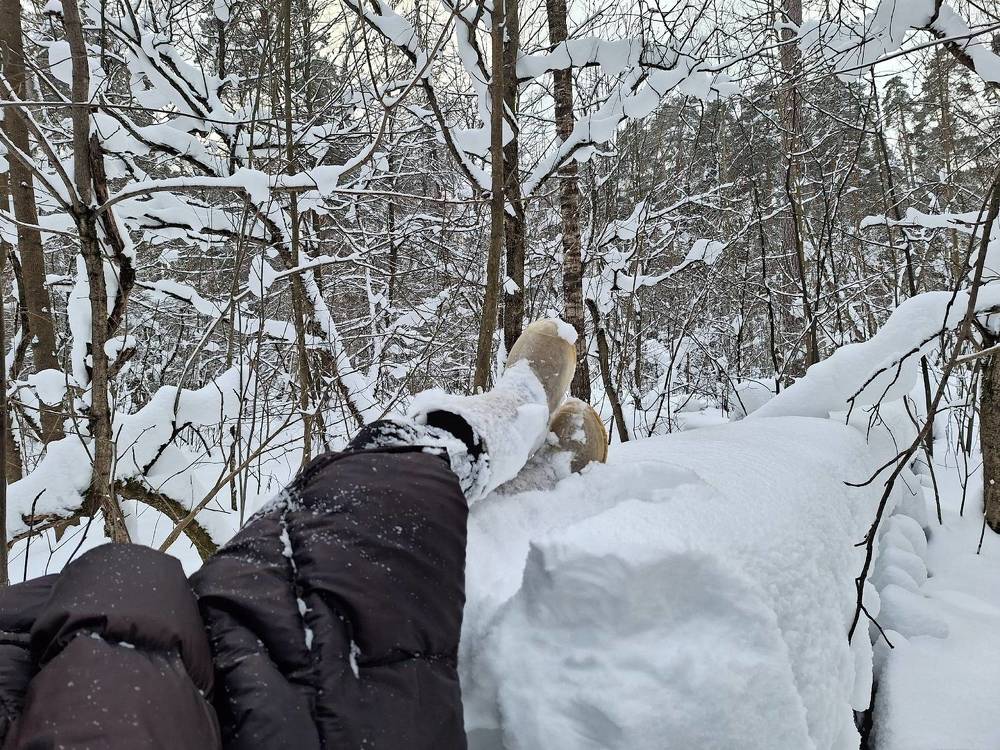 Photograph by Юлия Шалыгина