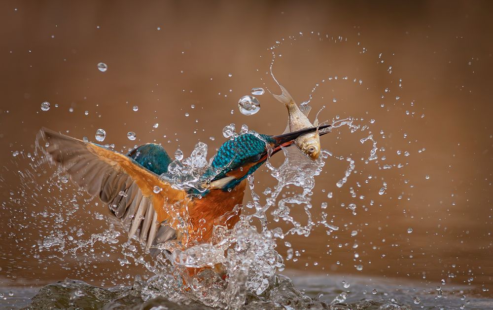 Photograph by Erika Katics