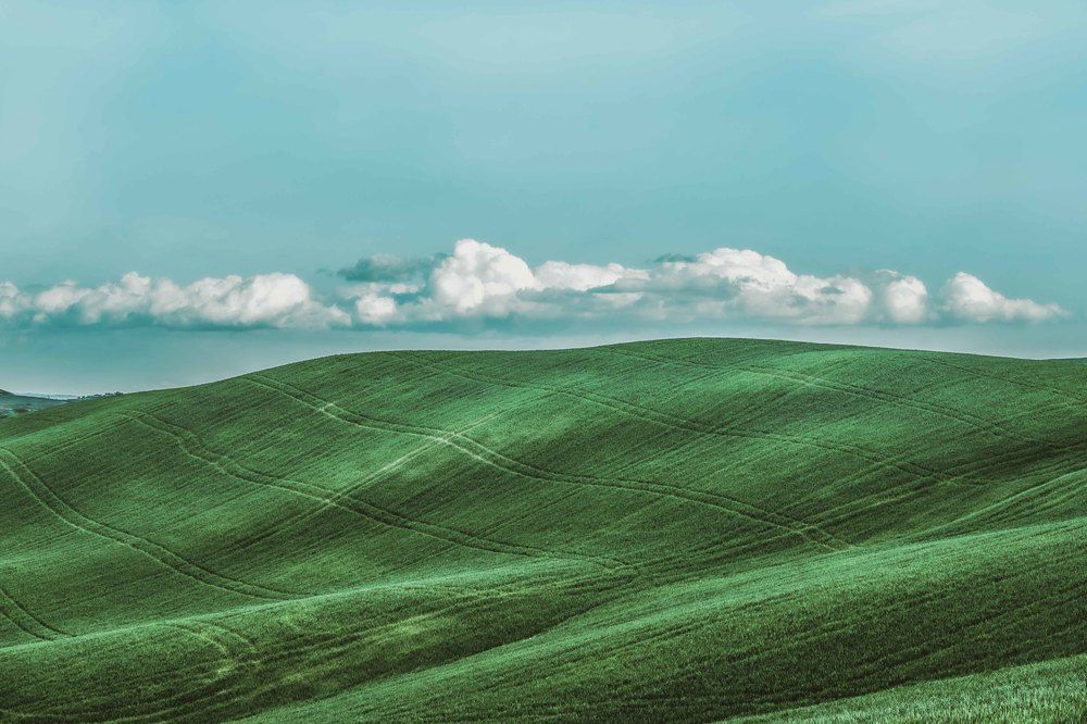 Фотография автора Ирина Назарова