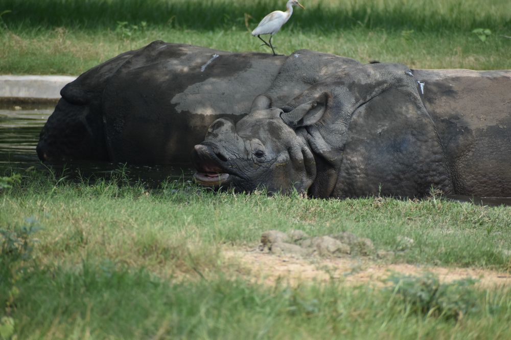 Photograph by Aryan Bhutani