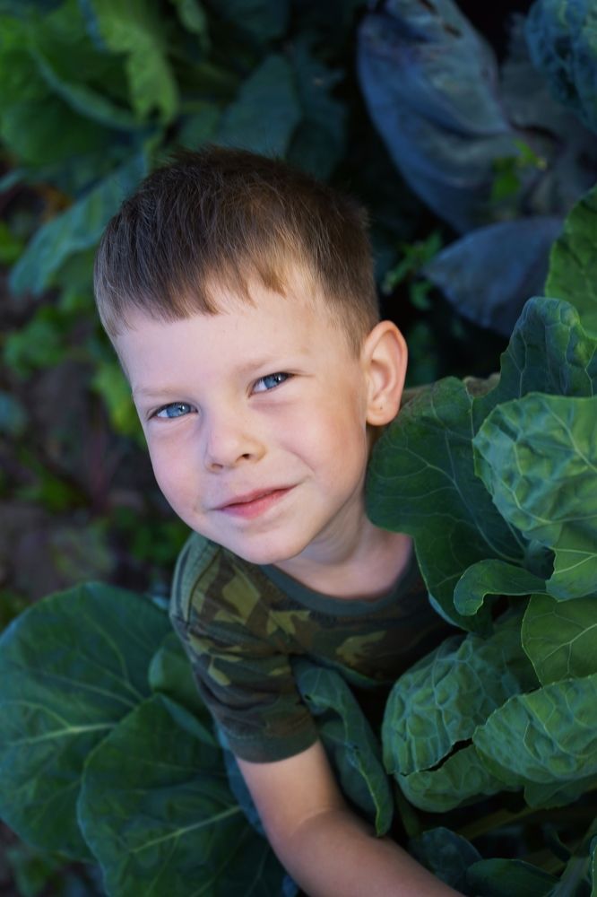 Photograph by Елена Копейкина