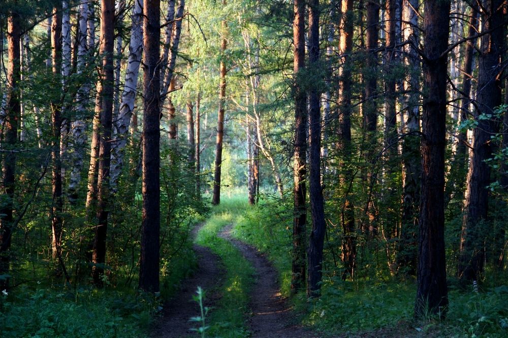 Photograph by Константин Филитов