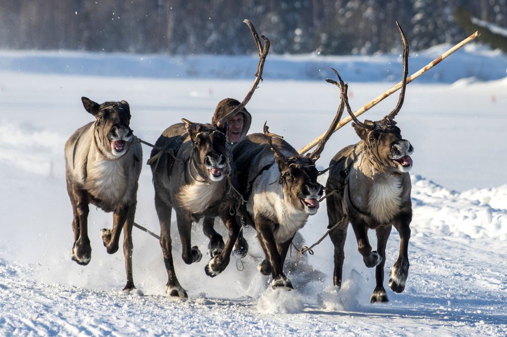 Photograph by Татьяна Борисова