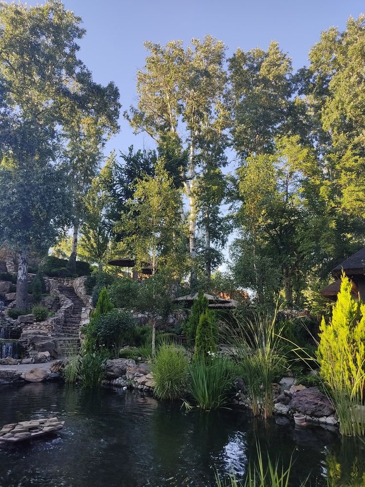 Photograph by Фаина Мирошниченко