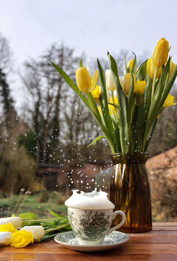 Фотография автора Victoria Vaigant