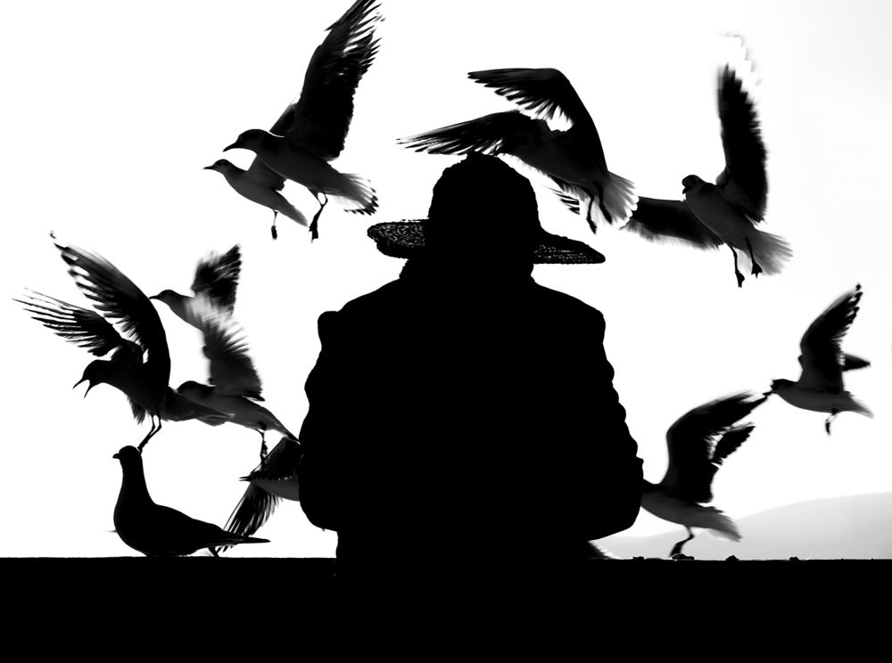 Photograph by Farid Azadi