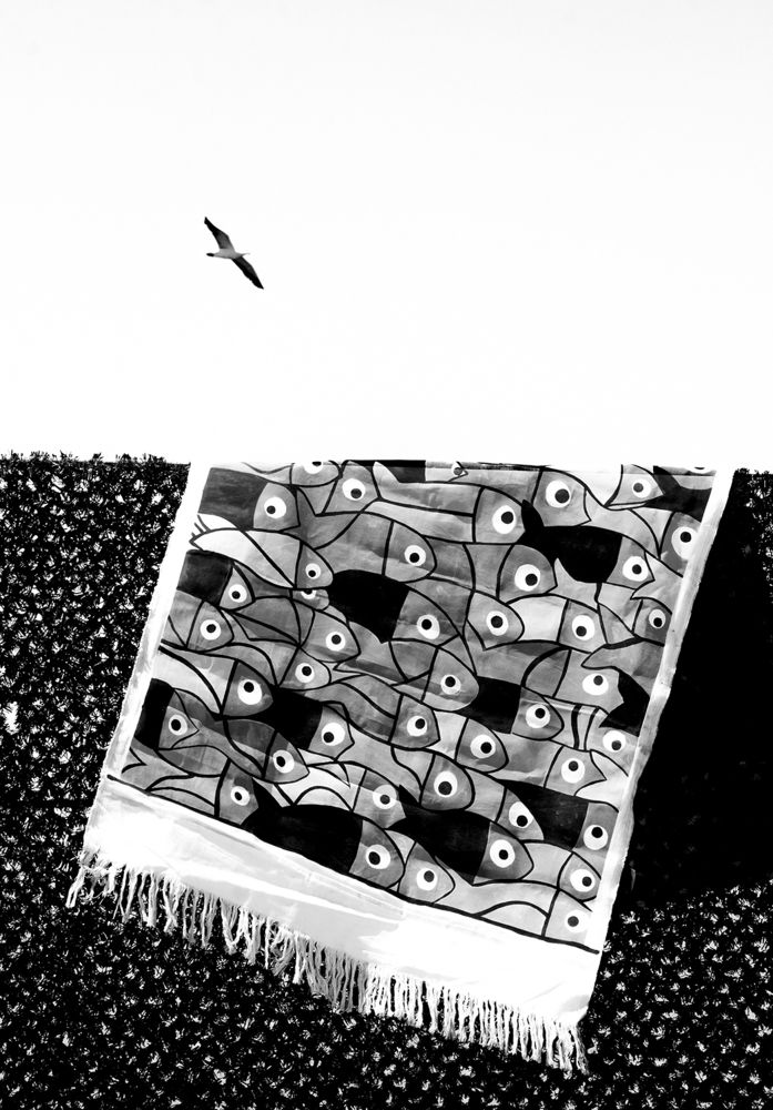 Photograph by Farid Azadi