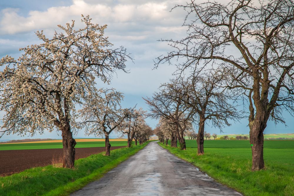 Фотография автора Katrin Lillenthal