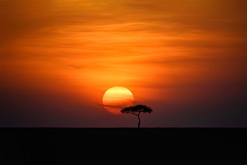 Photograph by Mahlagha Zarabian