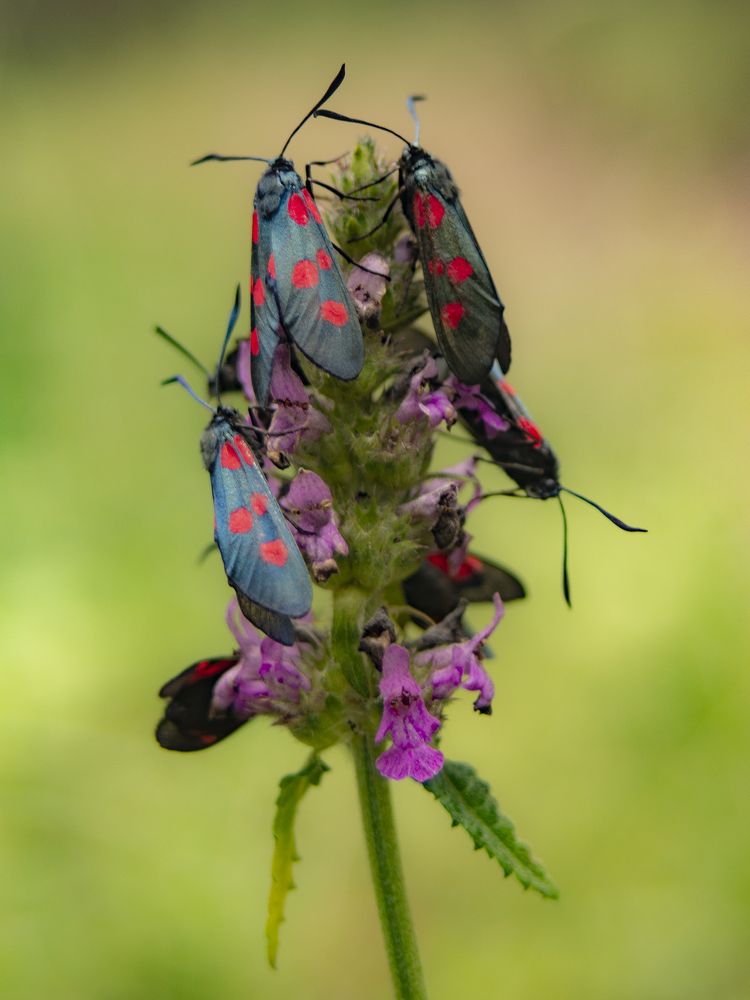 Photograph by Александр