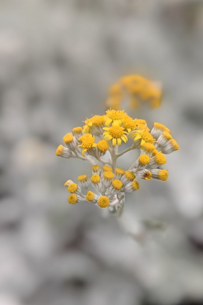 Photograph by Кристина Дугина