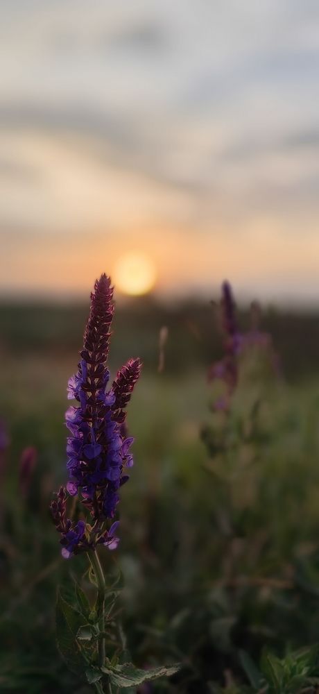 Photograph by Кристина Дугина