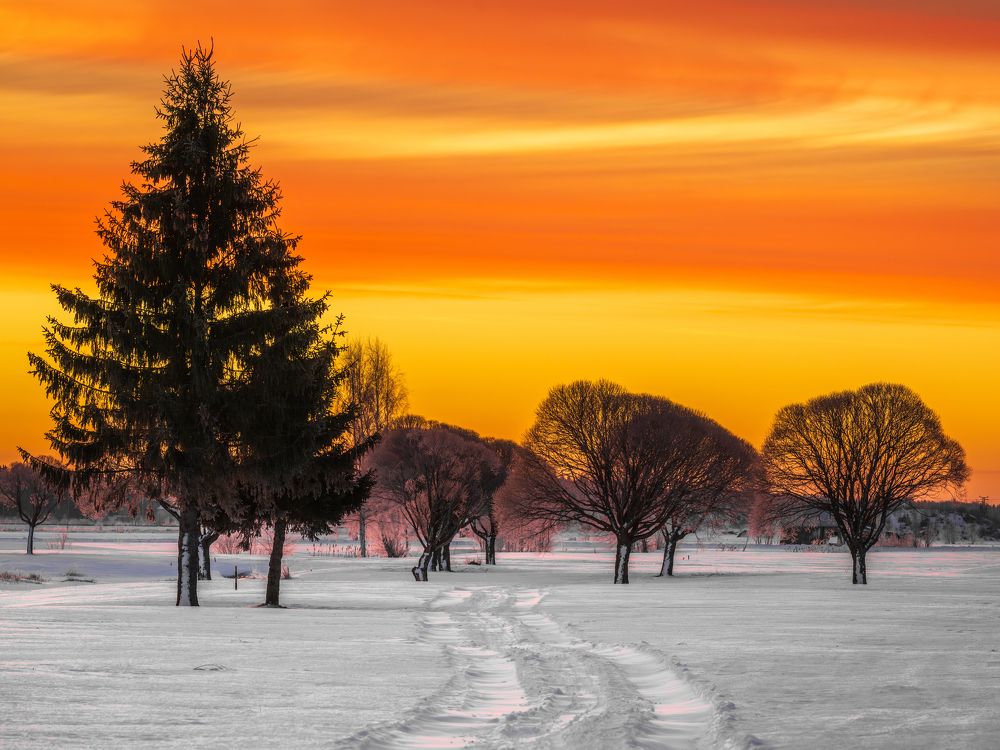 Фотография автора Katrin Lillenthal