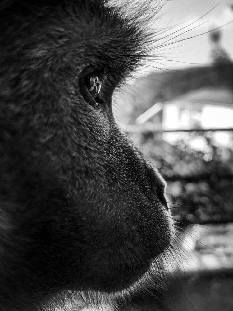 Photograph by Андрей Рогатко