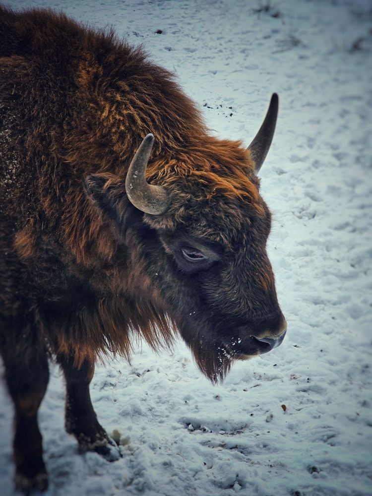 Photograph by Елена Ямнюк