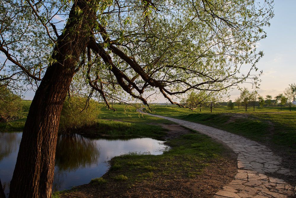 Photograph by Дмитрий Солодухин