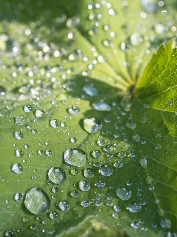 Photograph by Рина Серёгина