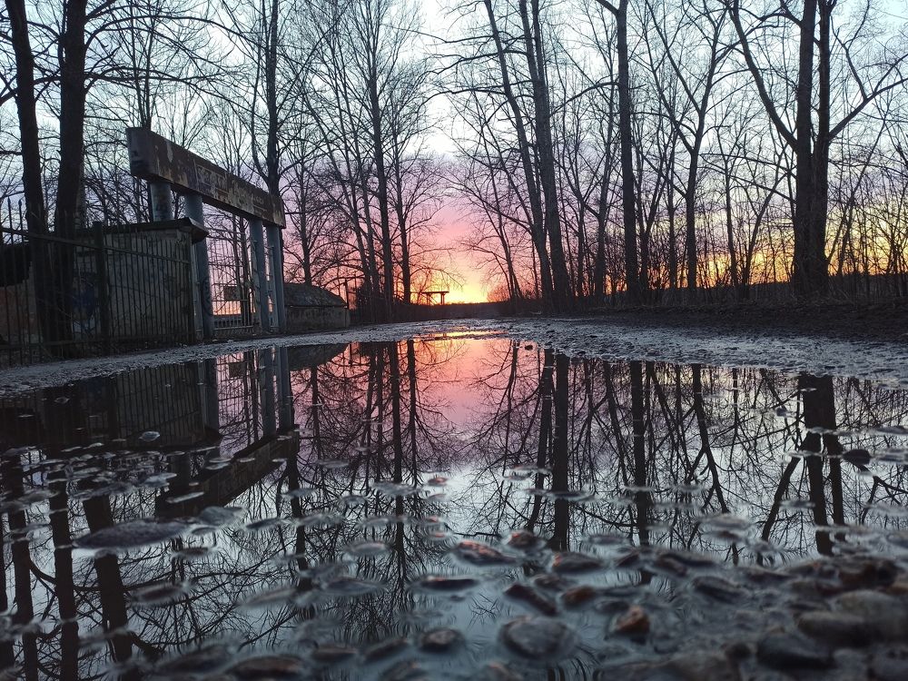 Photograph by Игорь Максимов