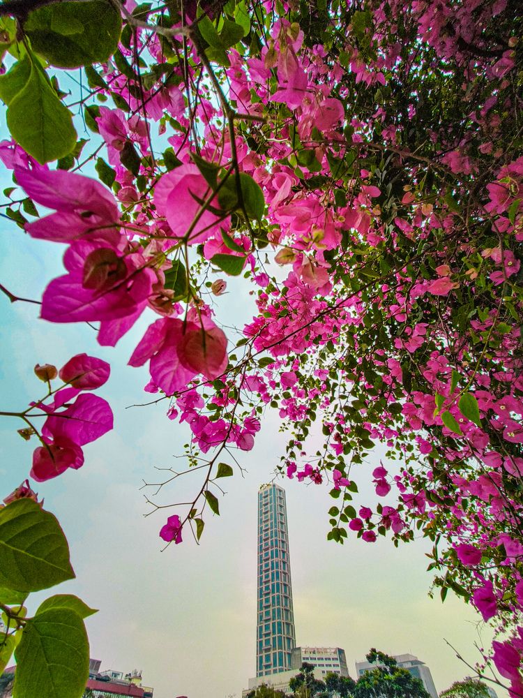 Photograph by Trishik Bose