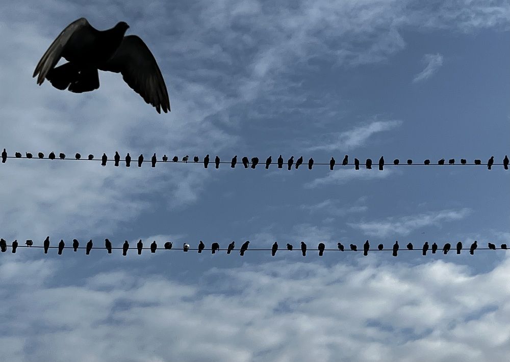 Photograph by Muslim Rafiuddin