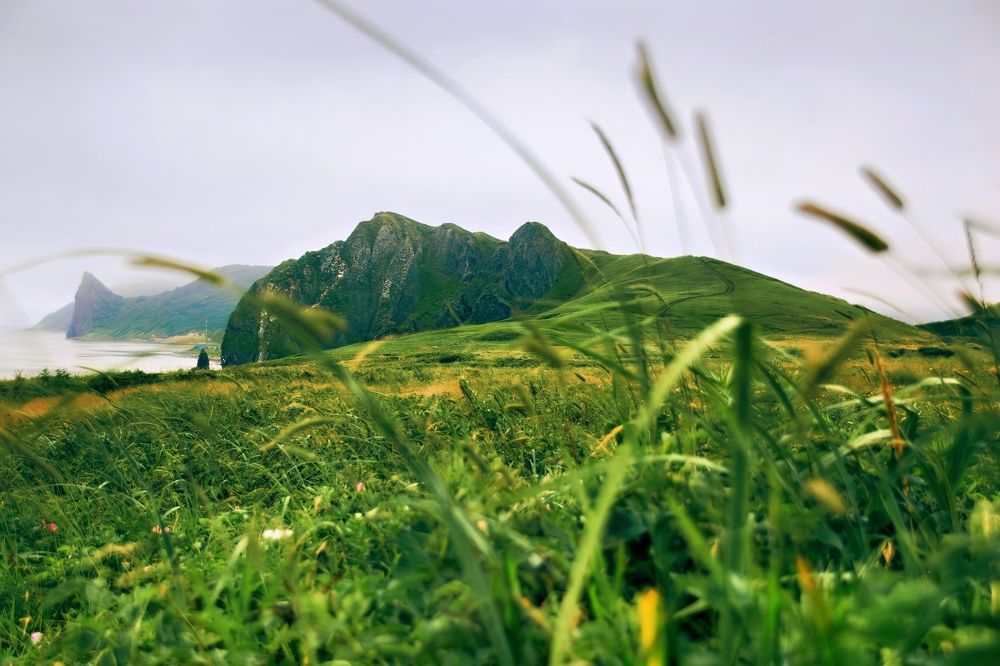 Photograph by Нурида Сорокоумова