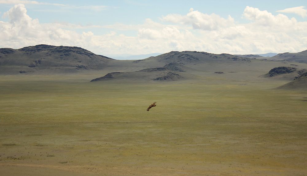 Photograph by дмитрий