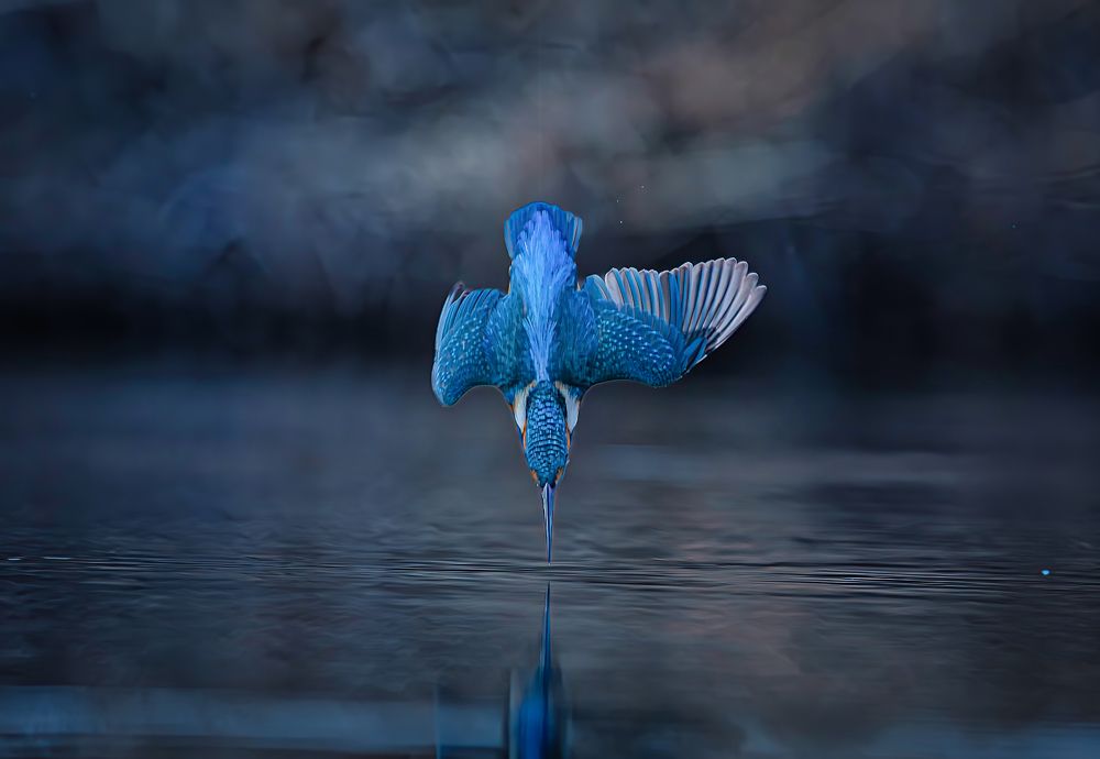 Photograph by Erika Katics