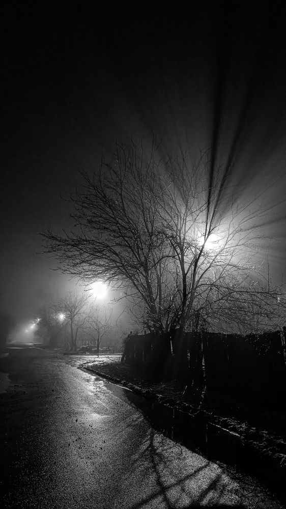 Photograph by Валерія Гончарова-Горобченко