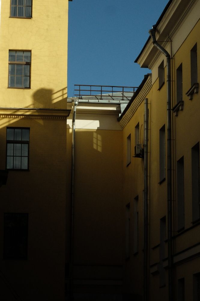 Photo #10431943