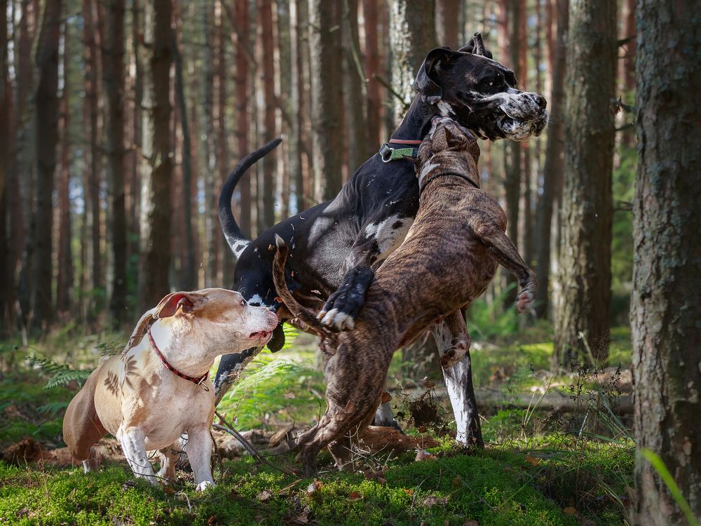 Photograph by Людмила Бандурина