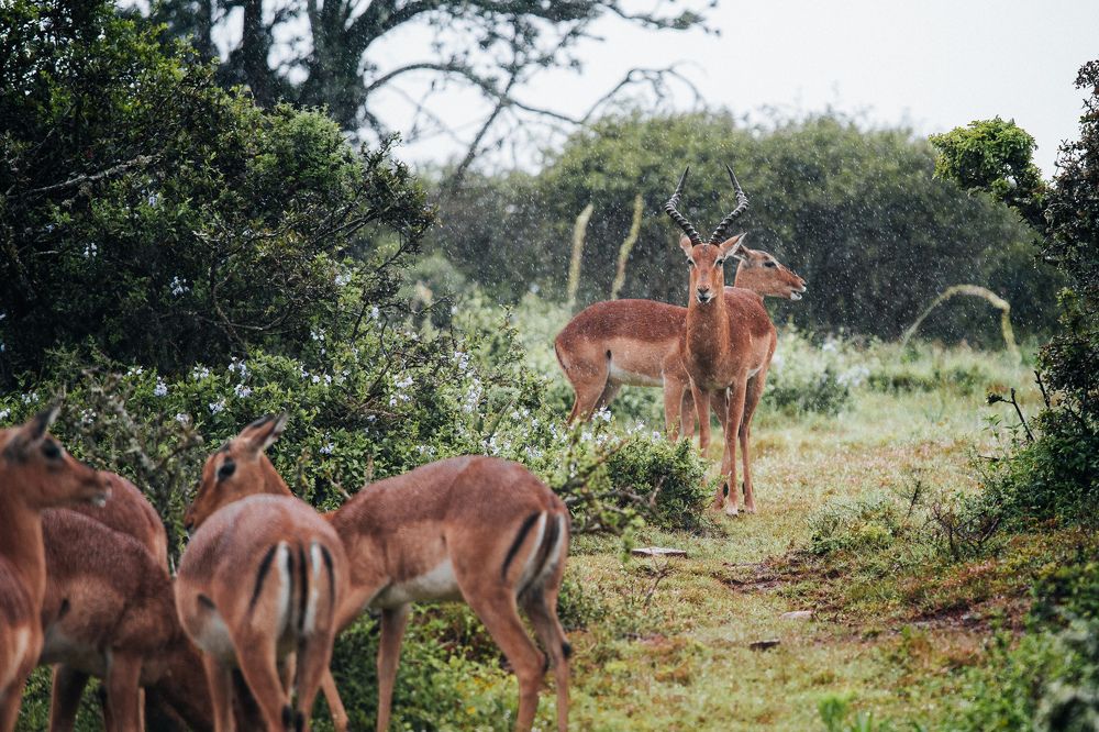 Photograph by Kanstantsin Karatysheuski