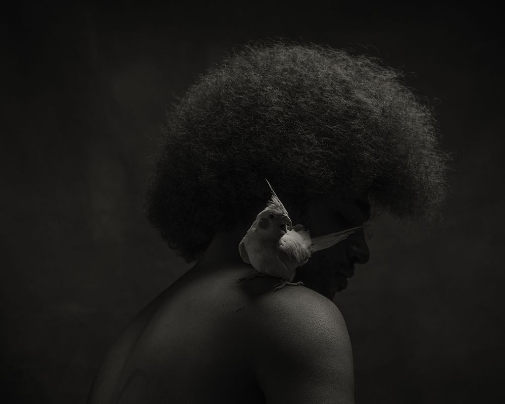 Photograph by gerami saber