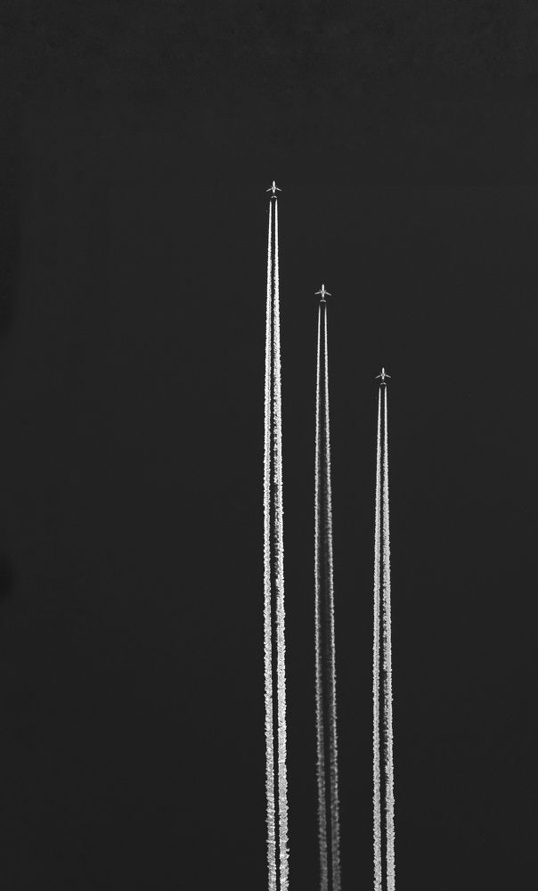 Photograph by Fatemeh Alipour