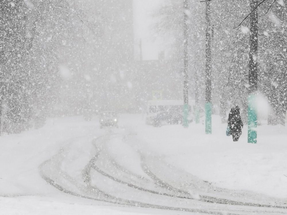 Photograph by Елена Миронова