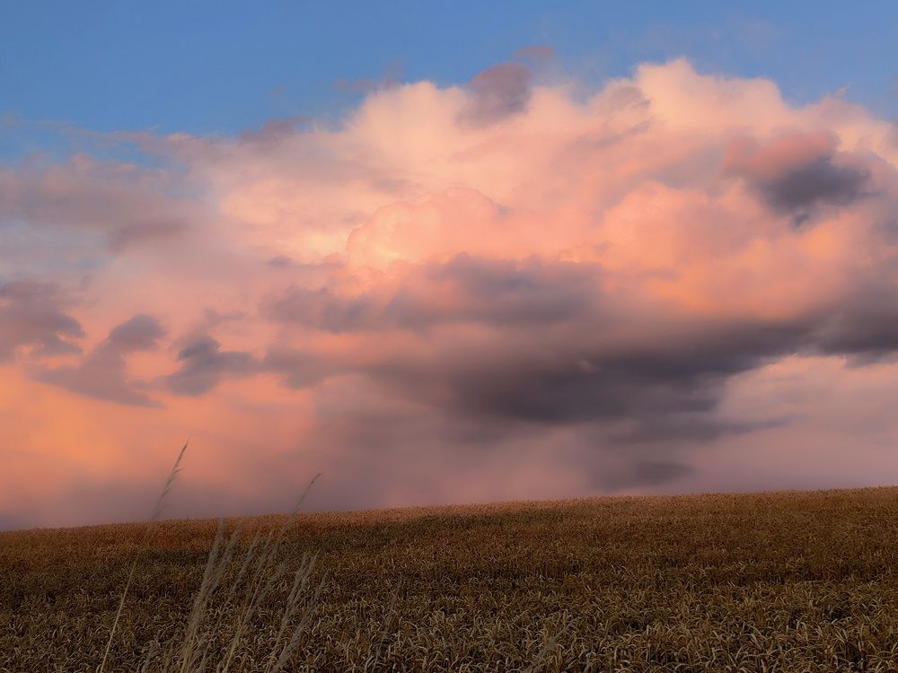 Photograph by Arkadij Frejdlin