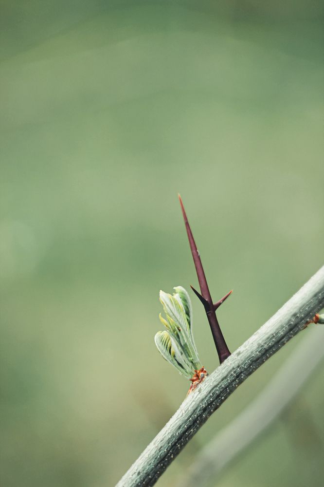 Photograph by Анна Тен