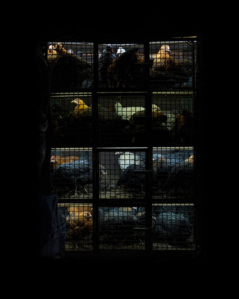 Photograph by gerami saber