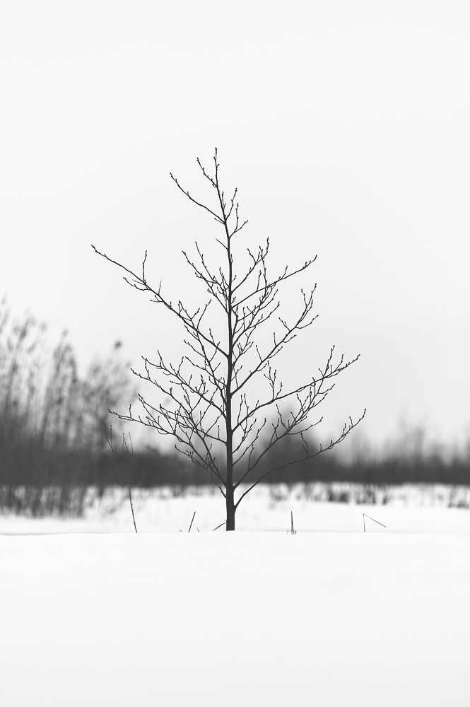 Photograph by Алексей Крылов