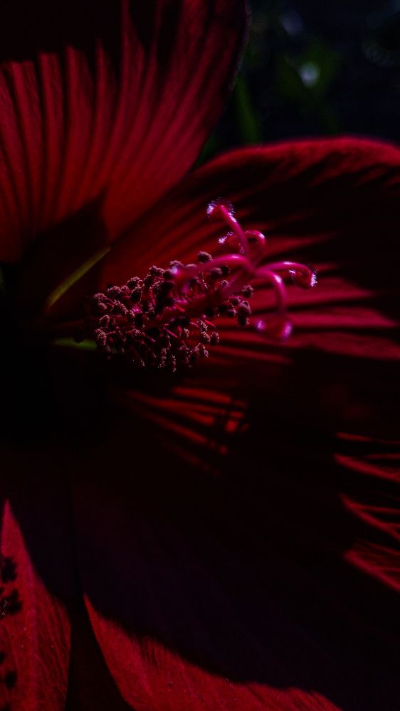 Photograph by Sergey Sadov