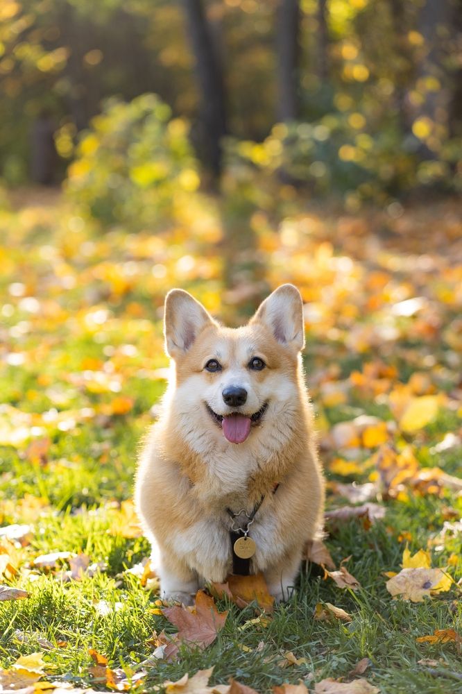 Photograph by Анна Полушина