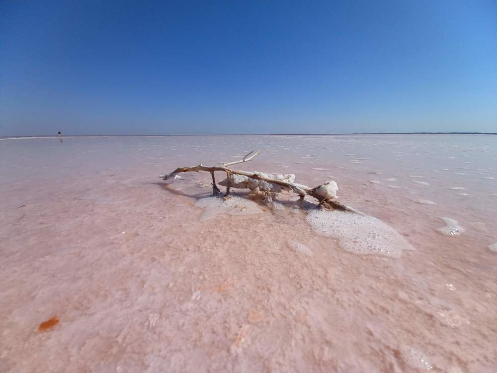 Photograph by Наталья Рассохина